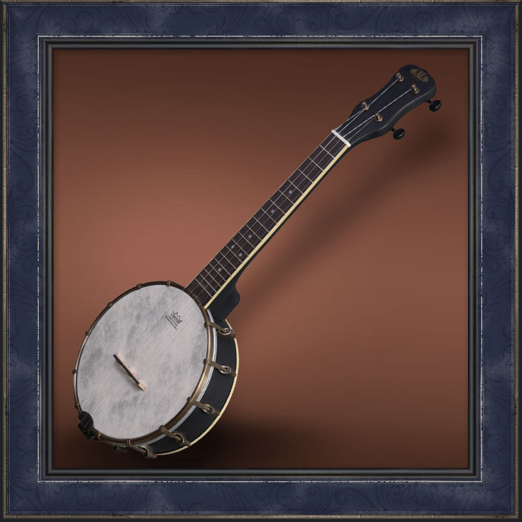 Ukulele, Banjo, Concert, Kala