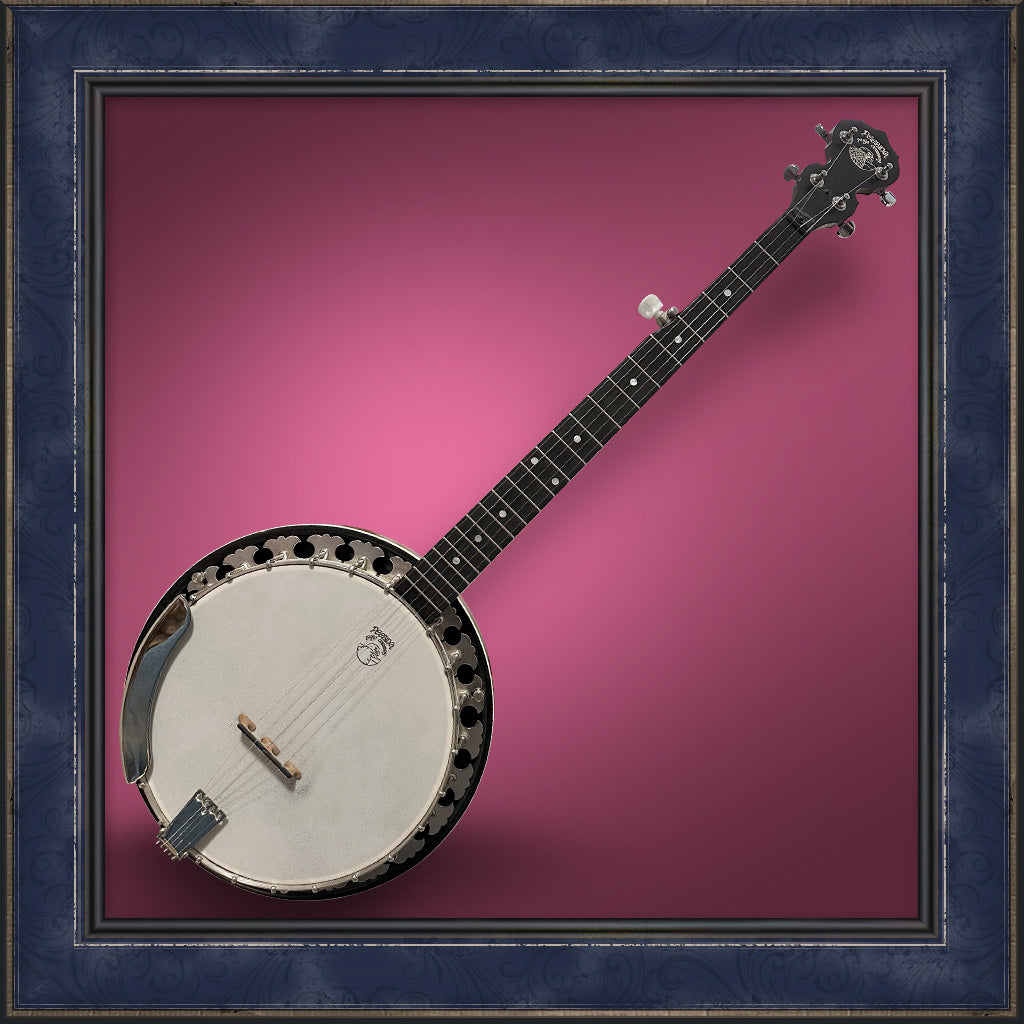Deering Boston Banjo, Resonator, Used