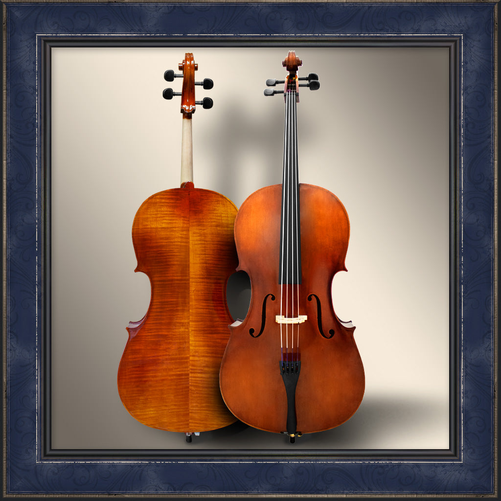Cello, Maple Leaf Strings Apprentice 110