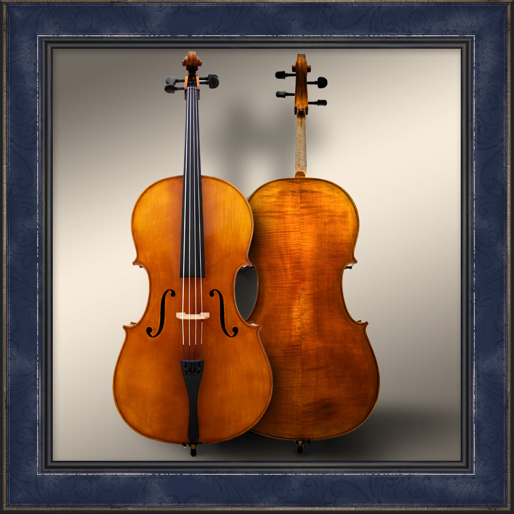 Cello, Maple Leaf Strings Apprentice 140