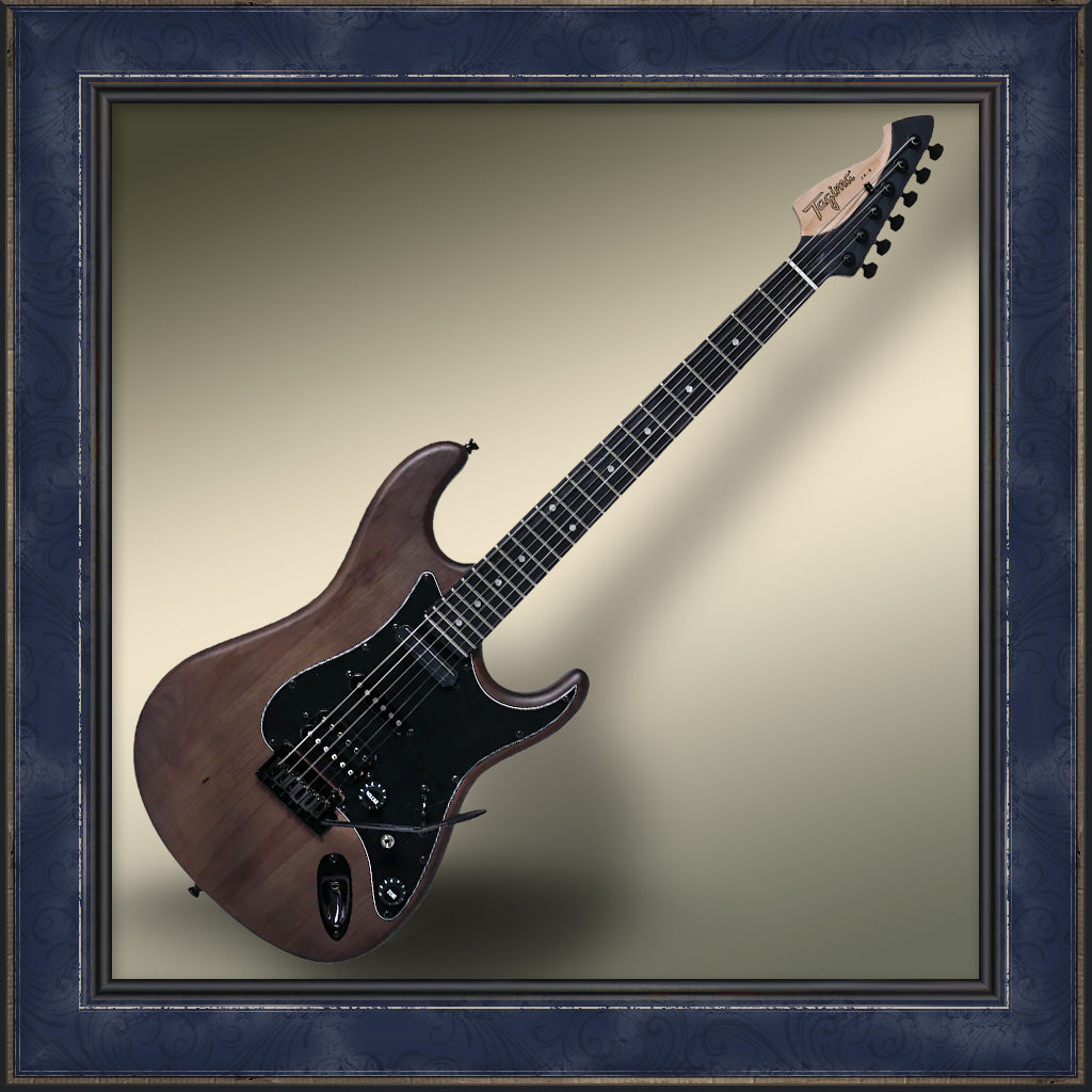 Guitar, Tagima, Signature JA-3 - Wild Acoustic Music Co