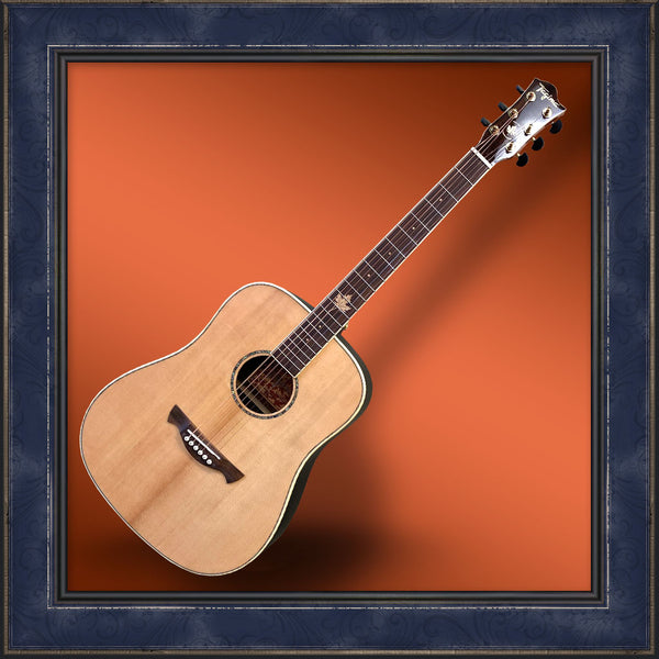 Guitar, Tagima, Vancouver Acoustic Wild Acoustic Music Co