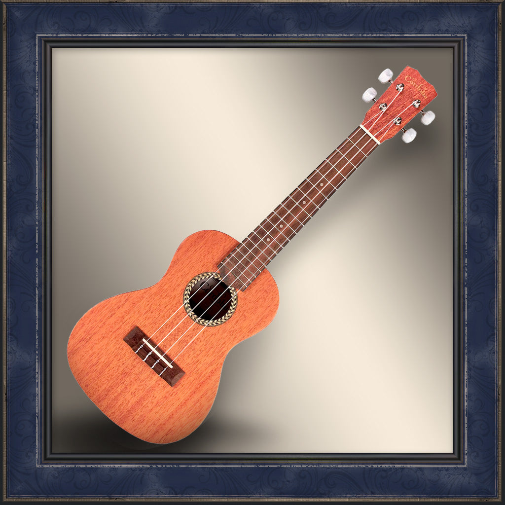 Ukulele, Concert, Cordoba 20CM