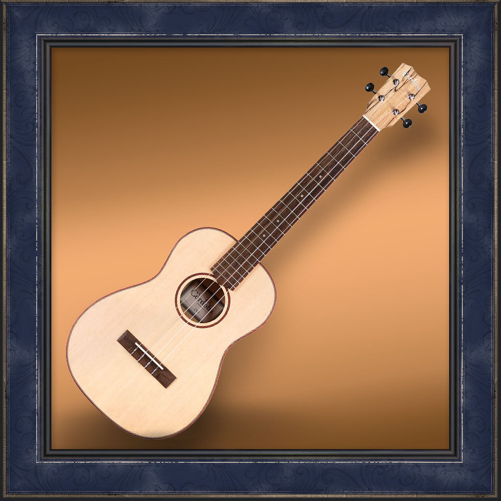 Ukulele, Baritone, Cordoba 24B