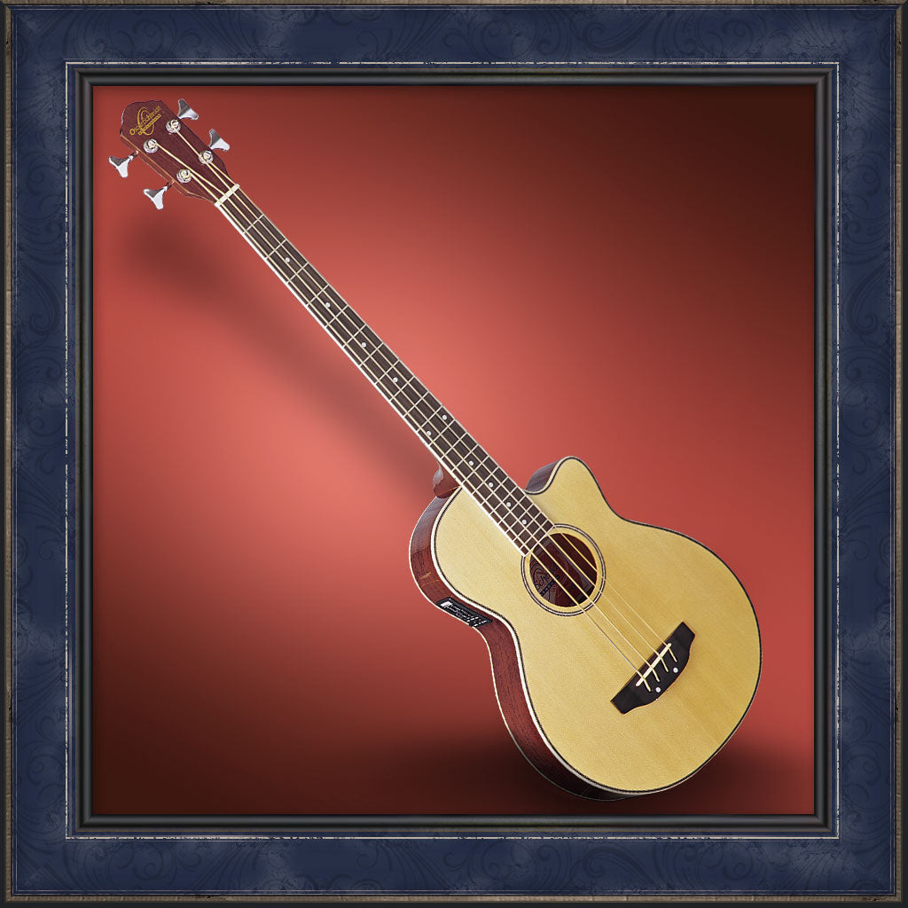Acoustic Bass, Oscar Schmidt OB100