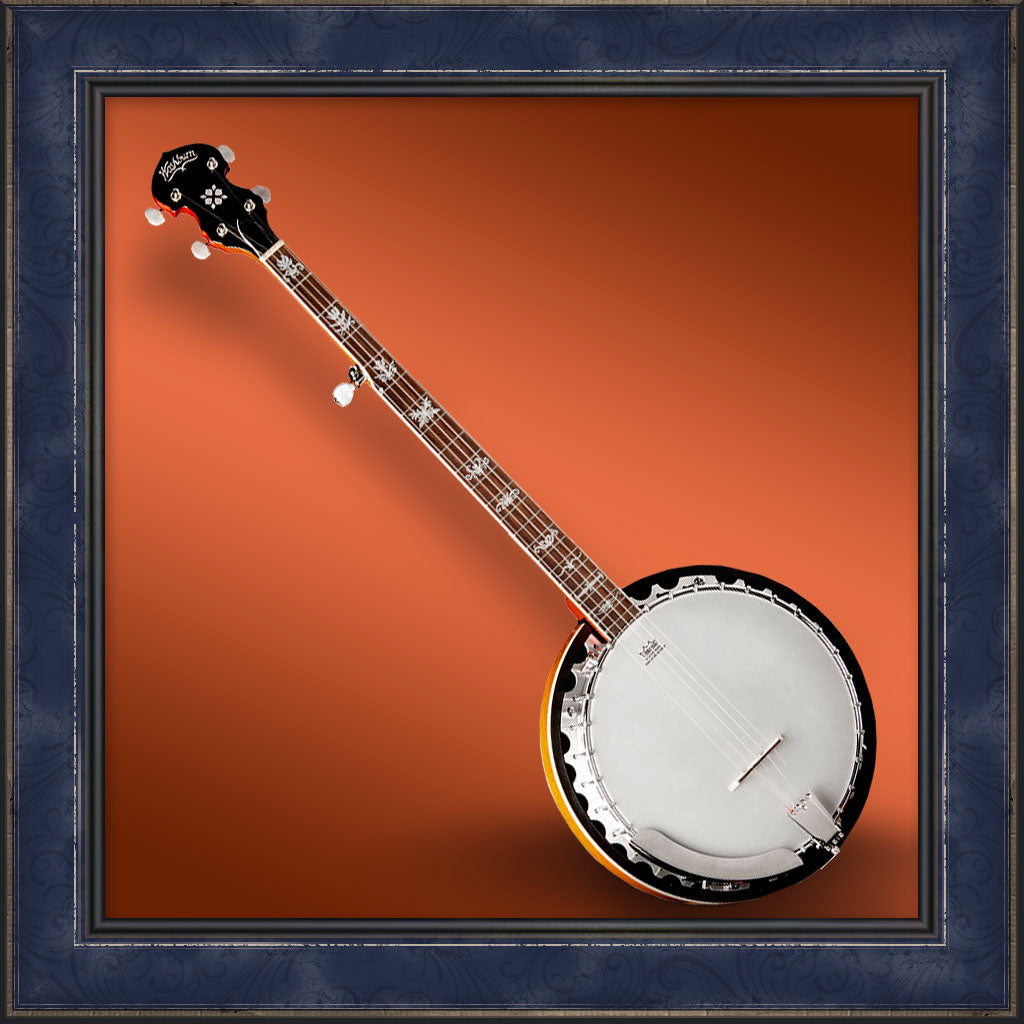 Banjo, Washburn Americana B10