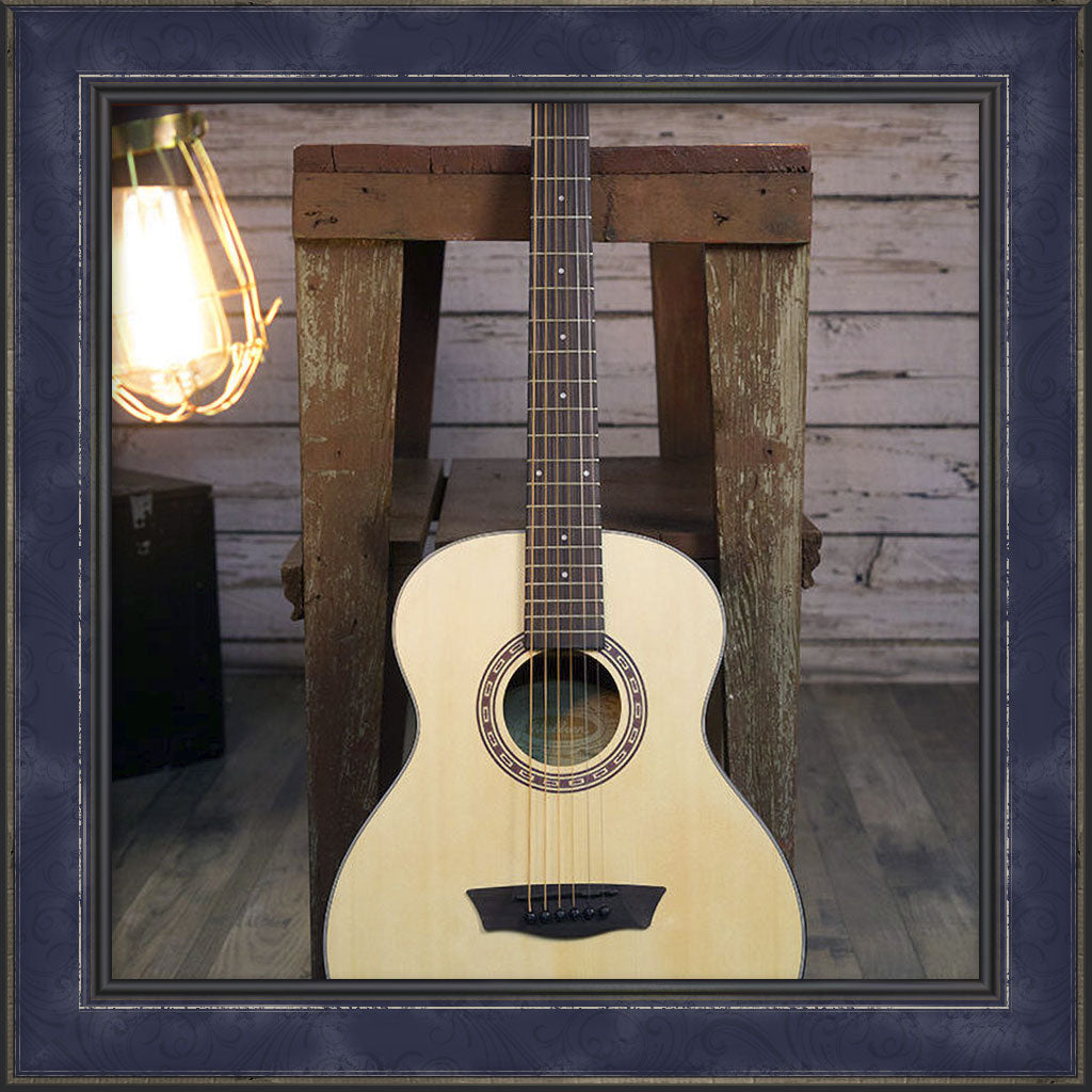 Guitar, Washburn Apprentice G Mini 5