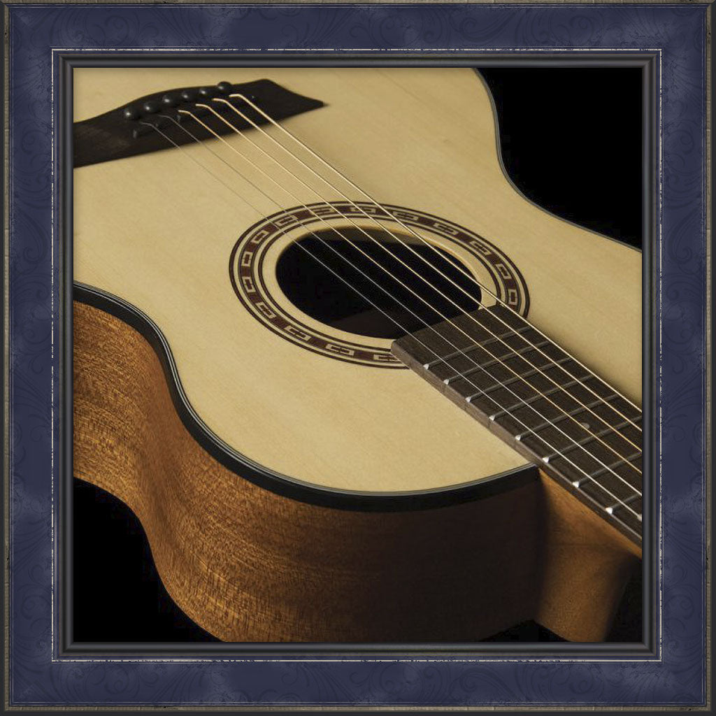 Guitar, Washburn Apprentice G Mini 5