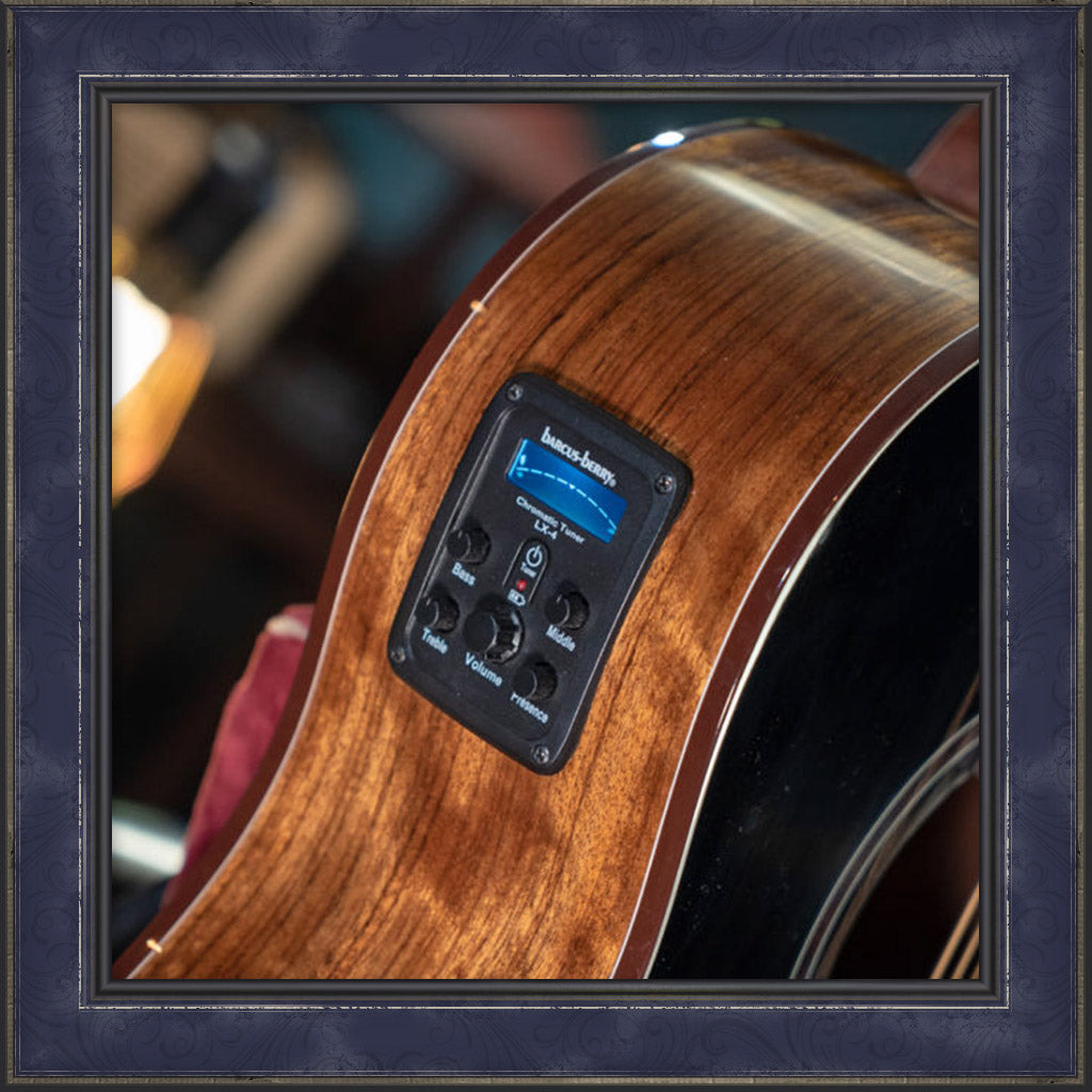 Guitar, Washburn Bella Tono Vine