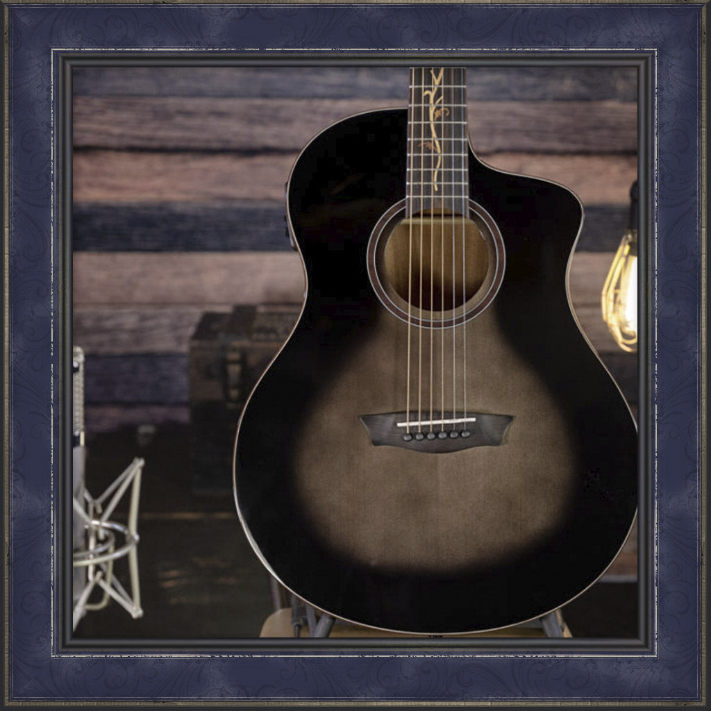 Guitar, Washburn Bella Tono Vine