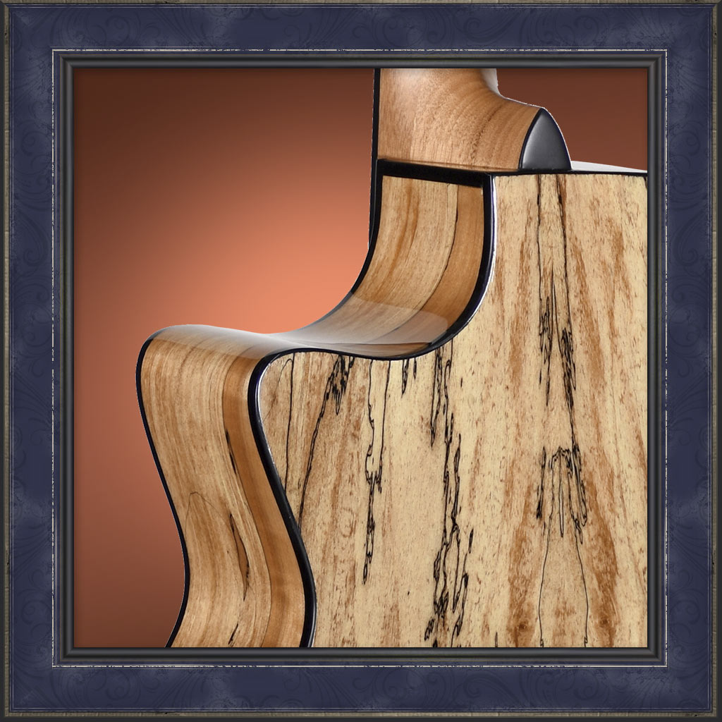 Guitar, Teton Auditorium, 130 Series