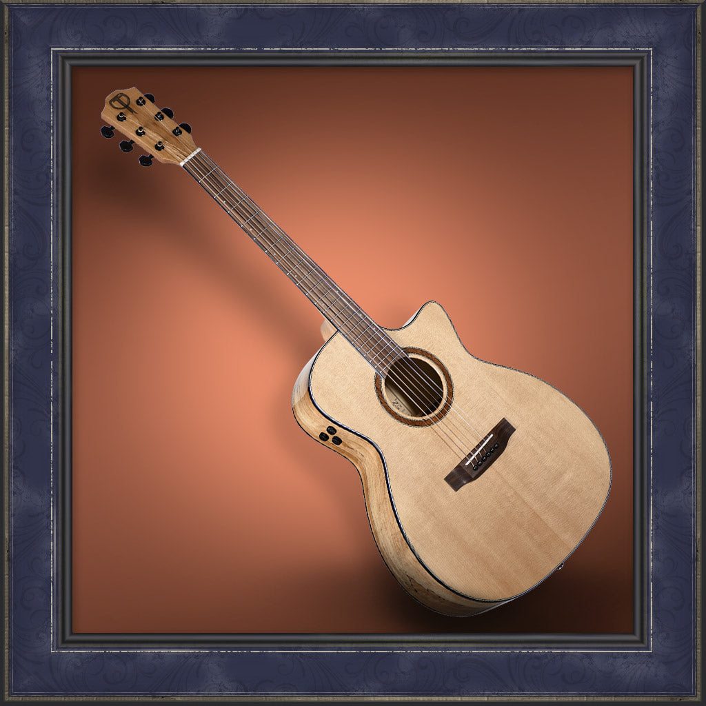 Guitar, Teton Auditorium, 130 Series