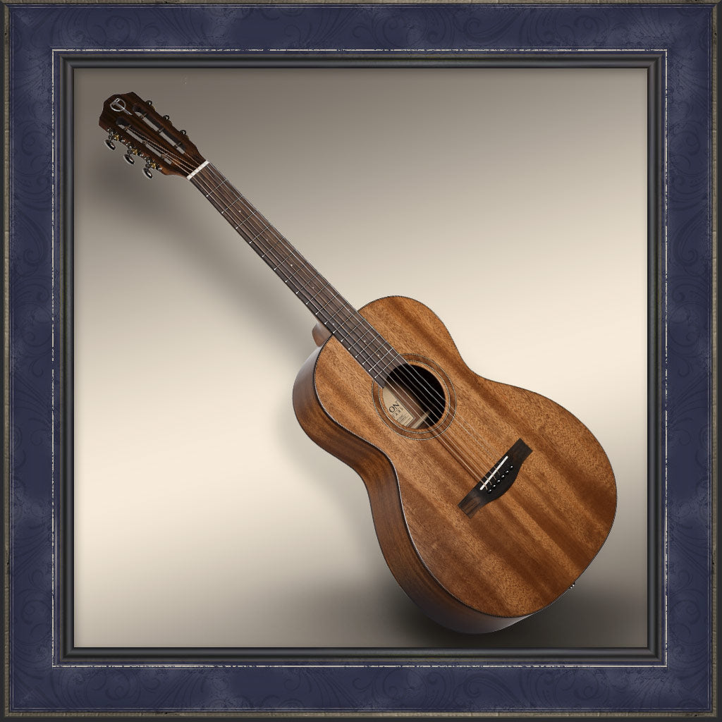 Guitar, Teton Parlor, 103 Series