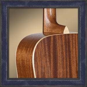 Guitar, Teton Dreadnought, 103 Series