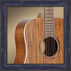 Guitar, Teton Dreadnought, 103 Series