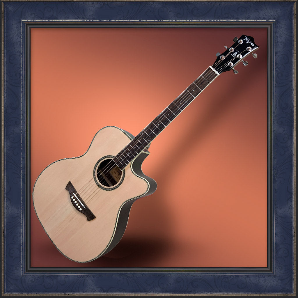 Guitar, Tagima, WS Series, WS-30 EQ-NT