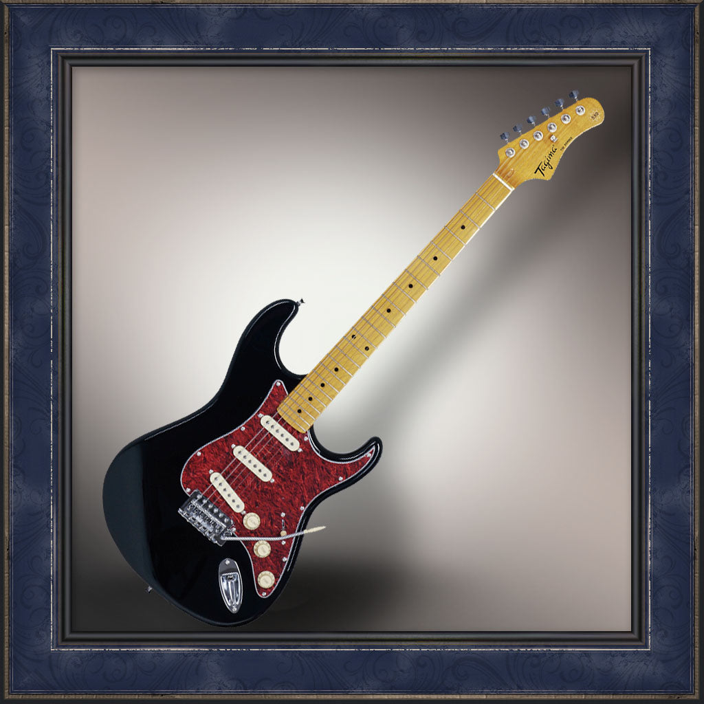 Guitar, Tagima, TW Series, TG-530