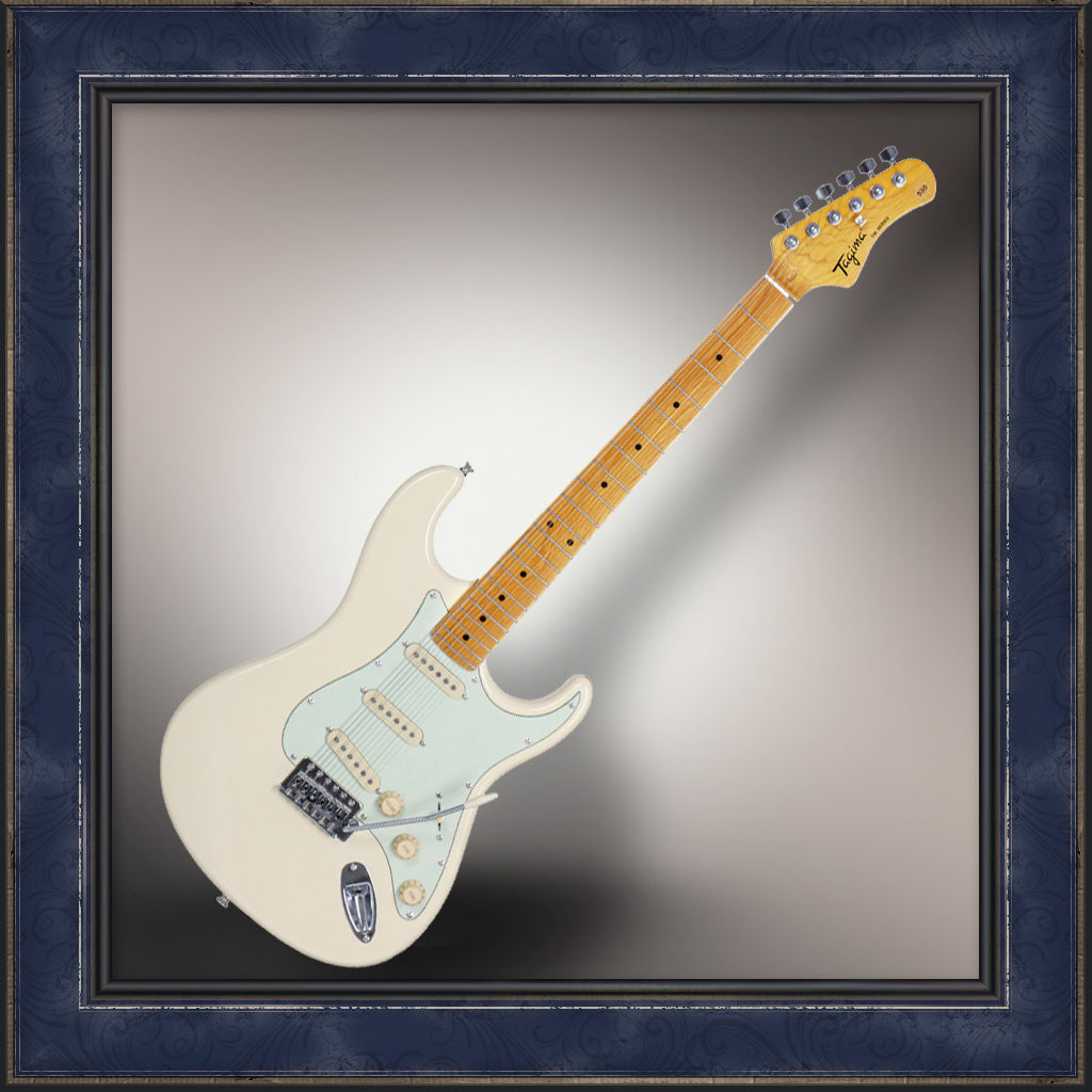 Guitar, Tagima, TW Series, TG-530