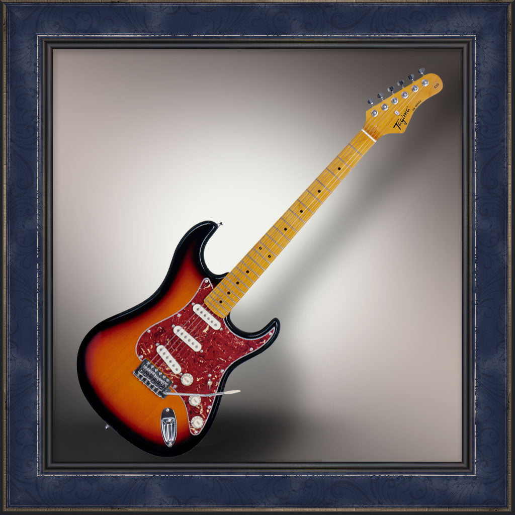 Guitar, Tagima, TW Series, TG-530