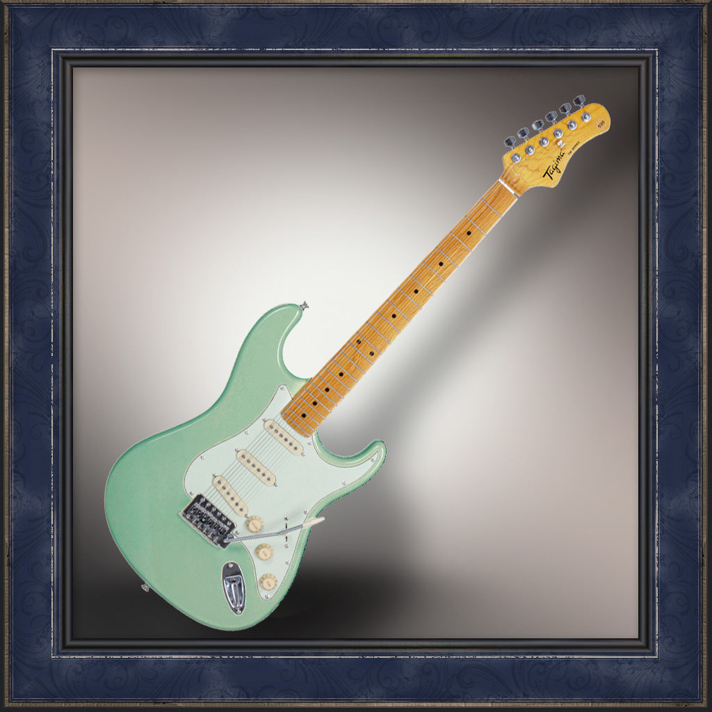 Guitar, Tagima, TW Series, TG-530