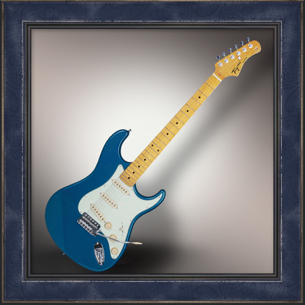 Guitar, Tagima, TW Series, TG-530