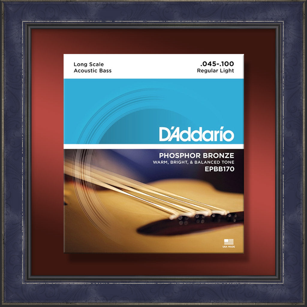 String Set, EPBB170, Acoustic Bass Guitar