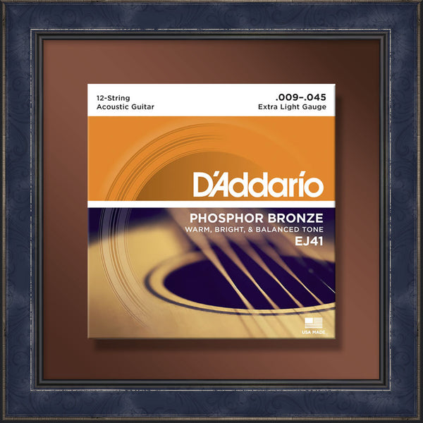 String Set, EJ41 12 String Guitar, Extra Light - Wild Acoustic