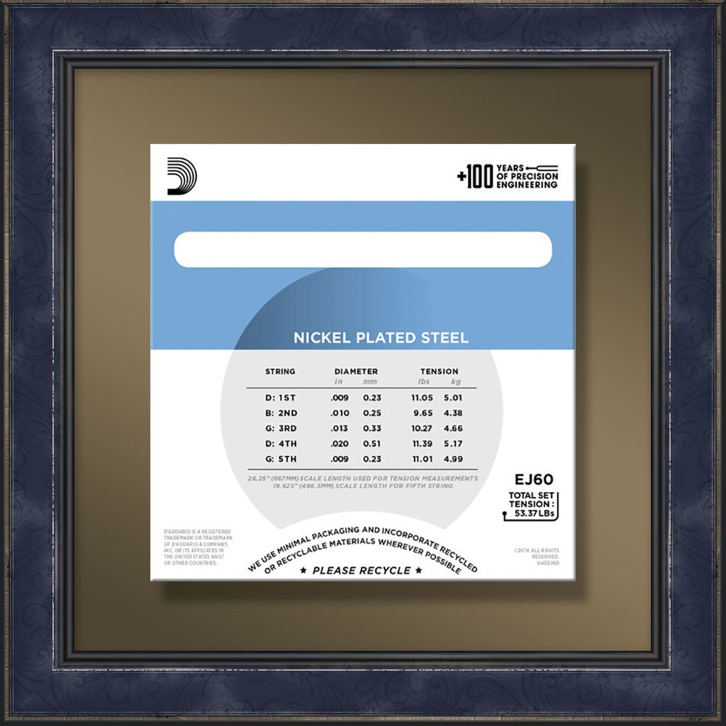String Set, EJ60 5 String Banjo, Light