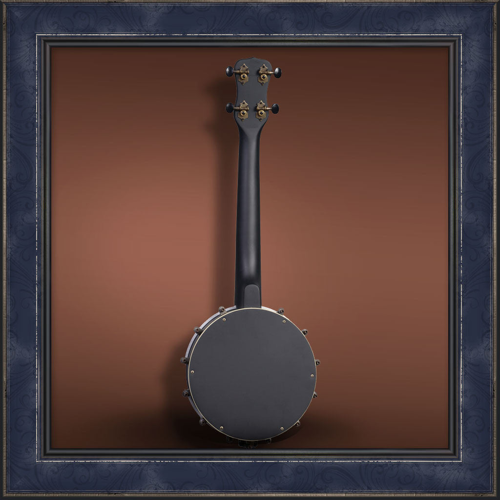 Ukulele, Banjo, Concert, Kala