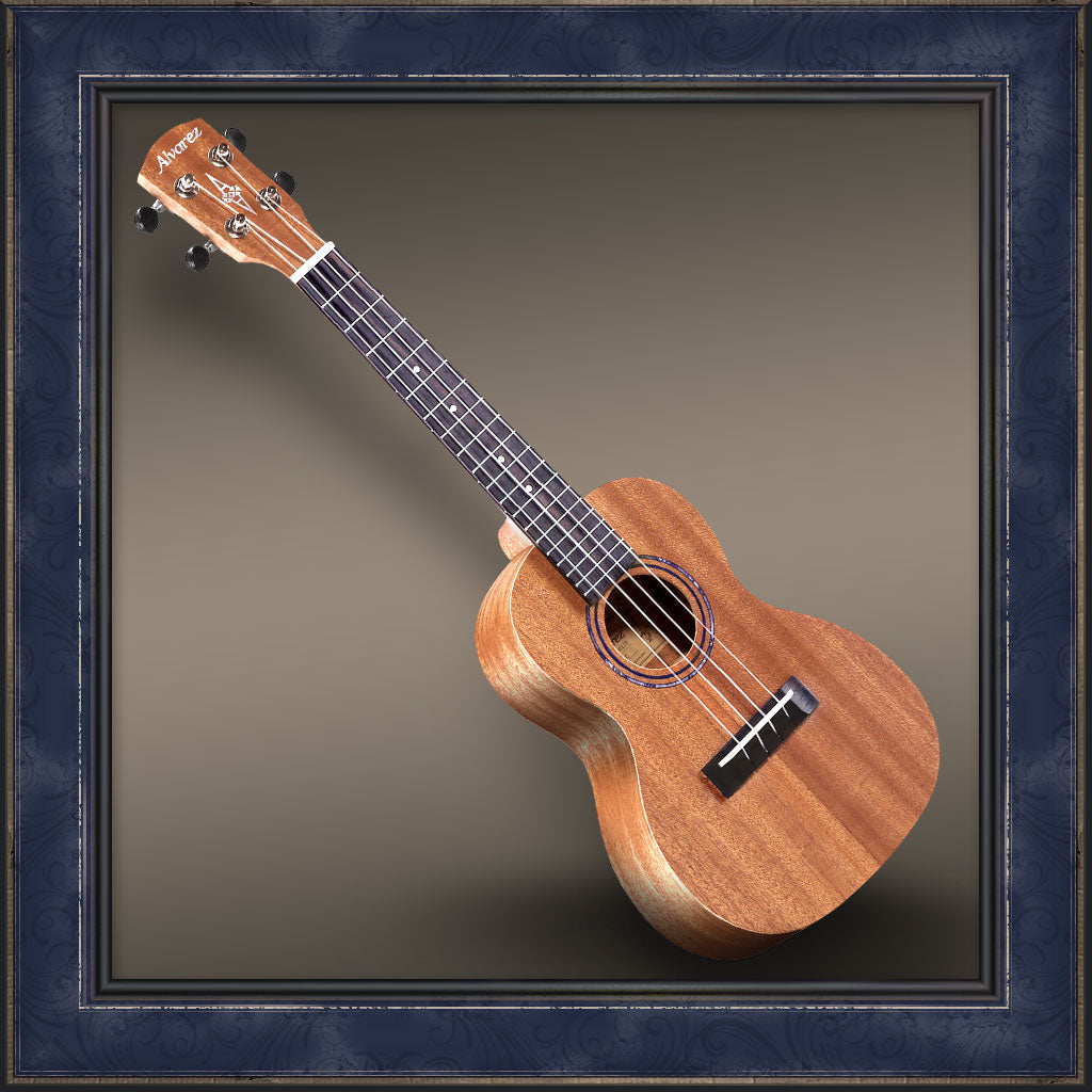 Ukulele, Alvarez Regent Concert