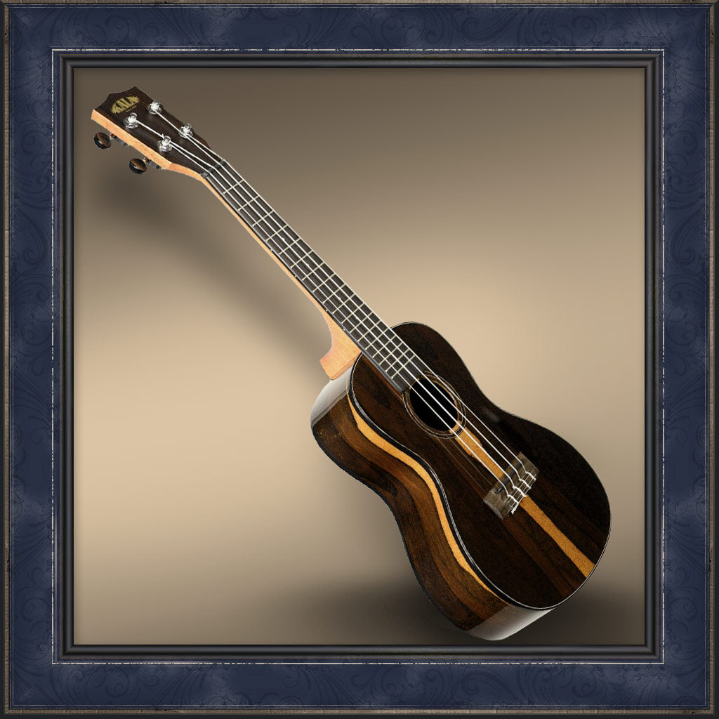 Ukulele, Concert, Ziricote