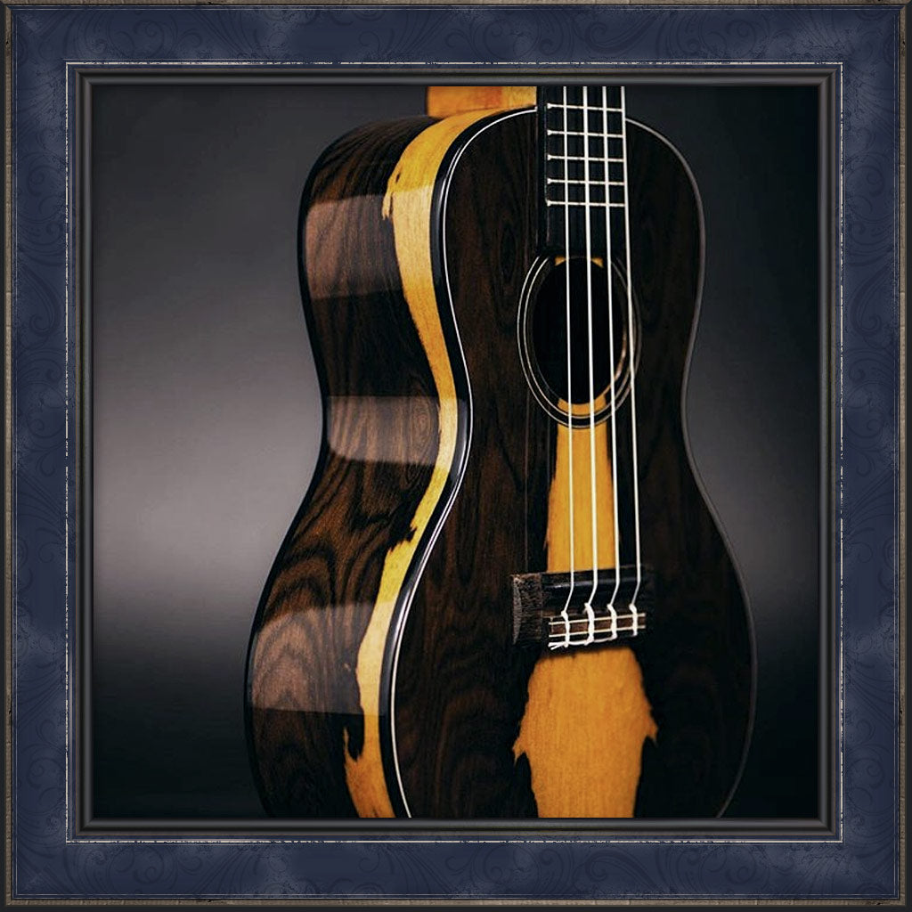 Ukulele, Concert, Ziricote