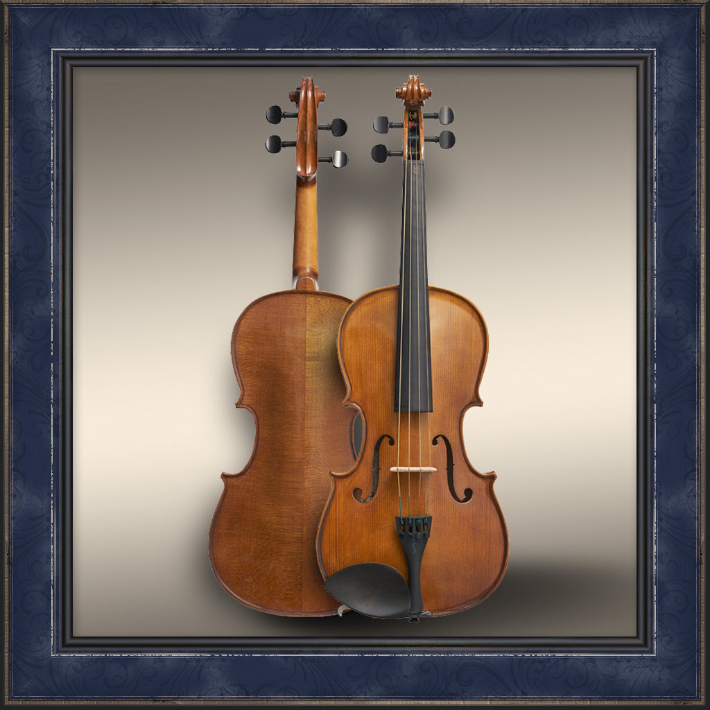 Violin, Stentor 1500